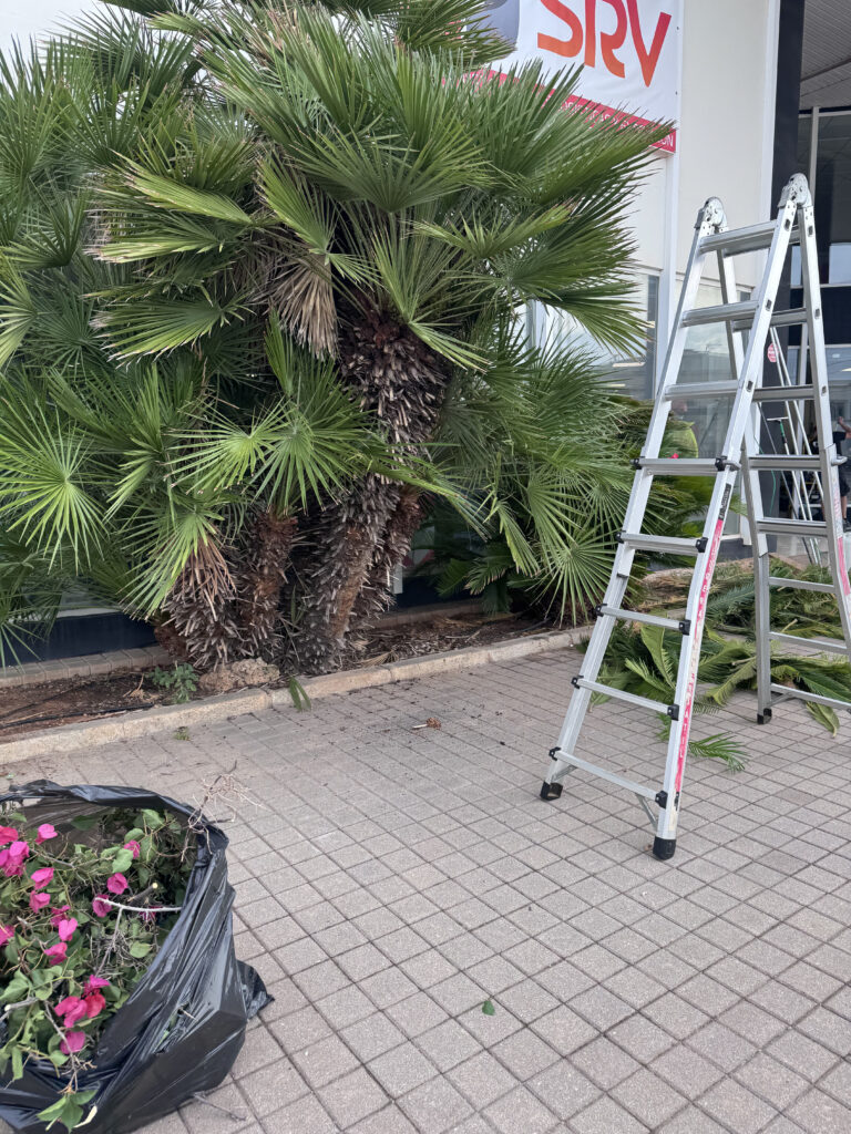 Mantenimiento de jardínes y patios, Cleaning Castelló