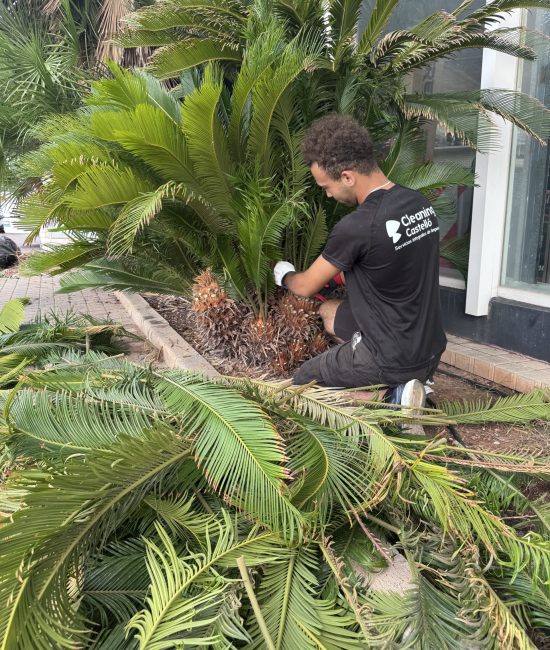 Mantenimiento de jardinería en comunidad de Castellón con trabajador de Cleaning Castelló cuidando zonas verdes.