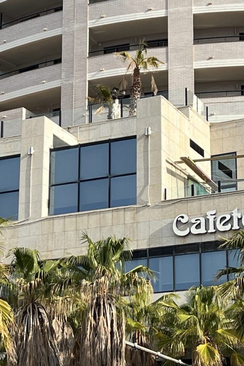 Limpieza de fachada y cristales en edificio de Castellón con zonas exteriores y palmeras.
