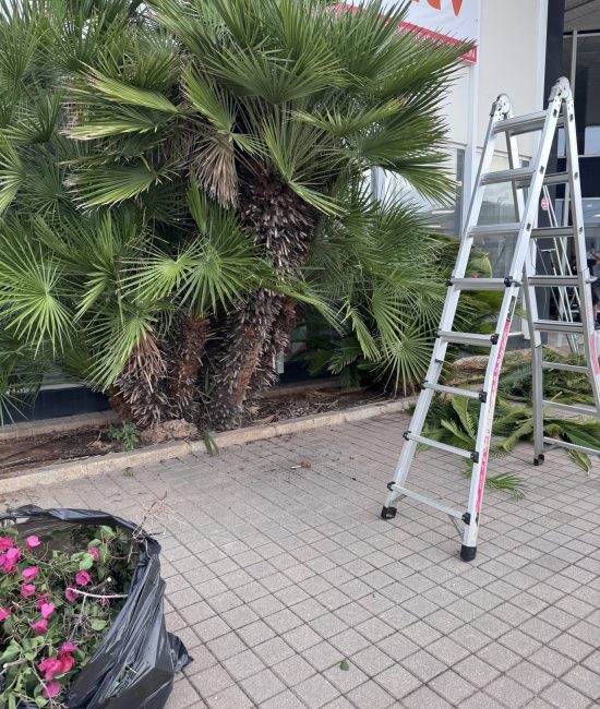 Mantenimiento de jardínes y patios, Cleaning Castelló